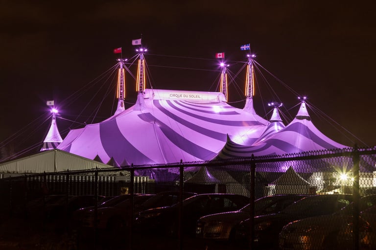 Can Cirque du Soleil become an anchor tenant for malls?